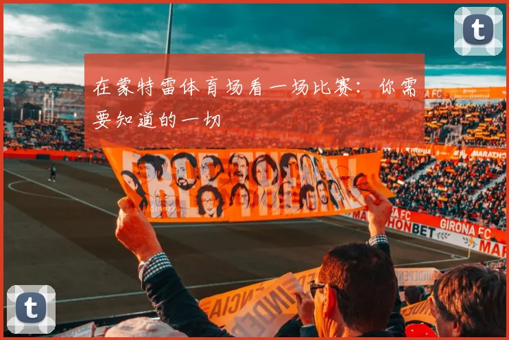 在蒙特雷体育场看一场比赛：你需要知道的一切